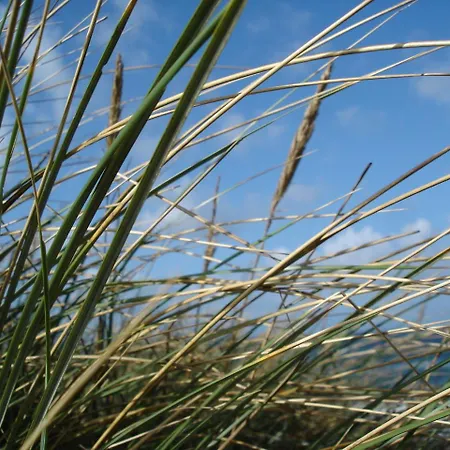 Duenenblick Doppelzimmer Seestern Otel