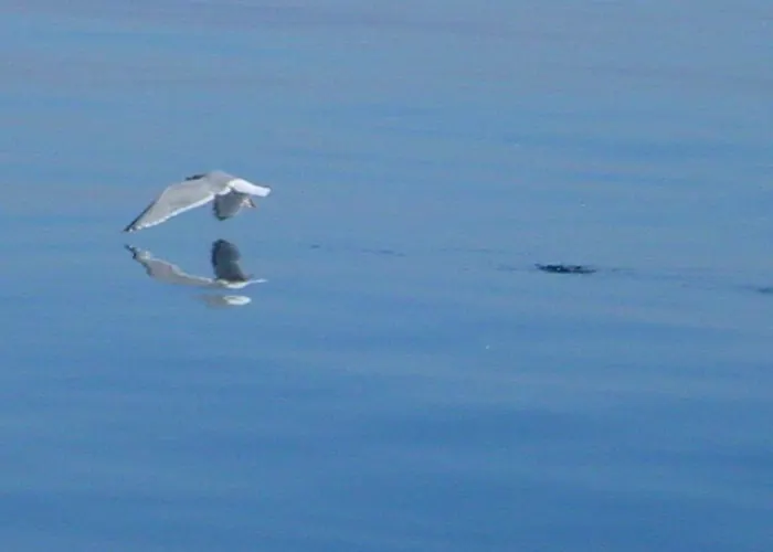 Duenenblick Doppelzimmer Seestern Hotel Timmendorfer Strand