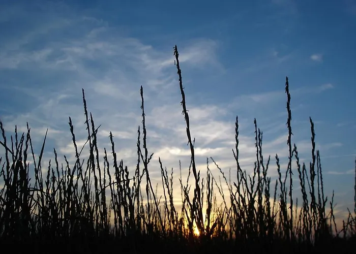 Duenenblick Doppelzimmer Seestern *